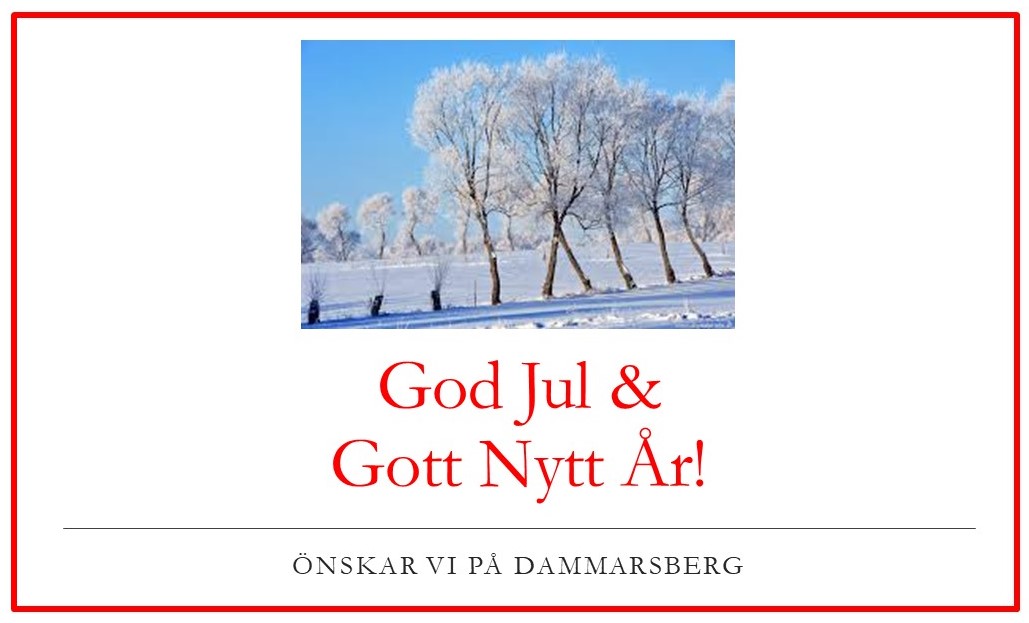 God Jul & Gott Nytt År!